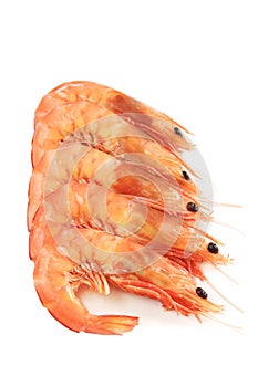 Prawns