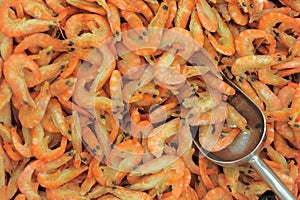 Prawns