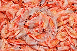 Prawns