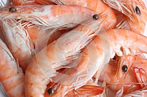 Prawns