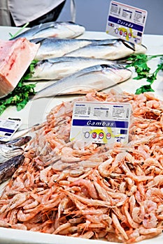 Prawns and black sea bass on sale in Granada