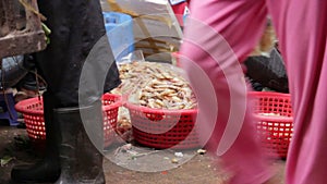 prawns on ground unhygienic in asian market