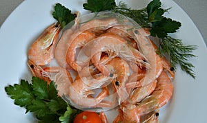 Prawns Latin. Caridea as food - delicacy