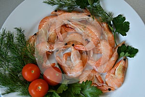 Prawns Latin. Caridea as food - delicacy