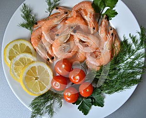 Prawns Latin. Caridea as food - delicacy