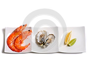 Prawns and oysters on a plate with copy space