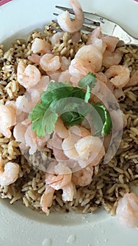 Prawns with rice