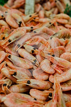 Prawns