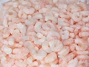 Prawns or shrimps photo