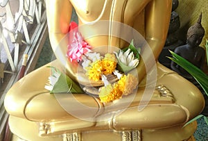 Pray Of Buddha Image