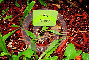 Pray for Rain