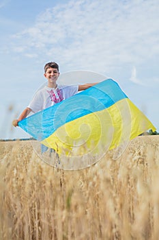 Pray for Ukraine. Child with Ukrainian flag in wheat field. Cute boy waving national flag praying for peace.