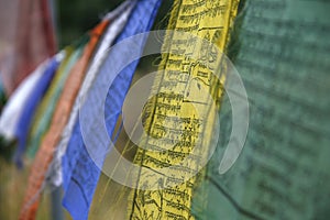 Prayer flags in a buddhist temple