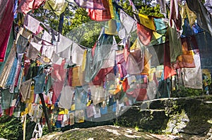 Prayer flags Longta , wind horse , Bumthang valley , Bhutan