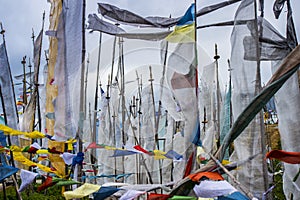 Prayer flags , Longta , wind horse, high mountain of Bhutan