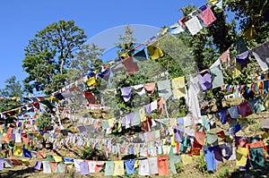 Prayer flags