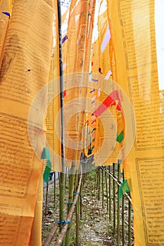 Prayer flags at Namchi in South Sikkim.