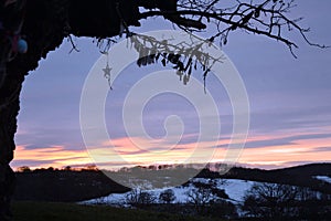 Prayer flags and offerings hang from the branches of an ancient pagan oak tree, silhouetted against a winter sunset in the English