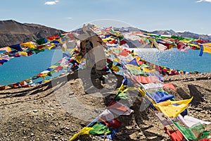Prayer flags at Pangong Lake in Ladakh,India.