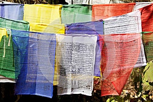 Prayer flags, Paro, Bhutan