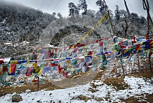 Prayer flags  in the snow, repeating mantra