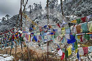 Prayer flags  in the snow, repeating mantra