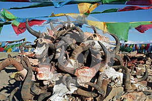 Prayer flags and yak horn with carved main Buddhist mantra.