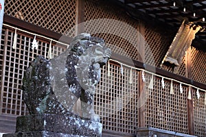 Prayer hall and guardian dog of Ujigami shrine