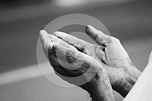 Prayer Hands photo