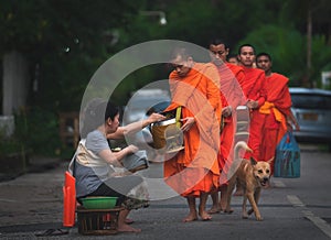 Prayer and Morning alms ceremony, Luang Prabang, Laos