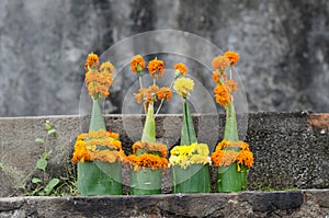 A prayer offering at the Temple