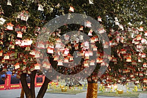 Prayer tree at Guan Yu Temple