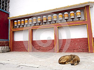 Prayer wheels for good karma in Sikkim, India photo