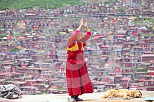 Prayers in the Sertar buddhish college