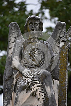 Praying Angel found in Oakwood Cemetery in Fort Worth Texas