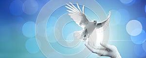 praying and free bird enjoying nature on blue sky background, white dove flying happily on praying hand , hope and