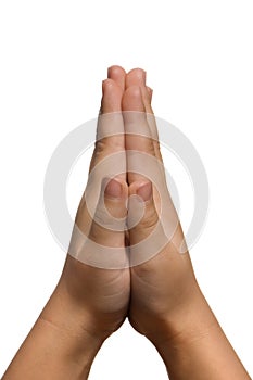 Praying Hands