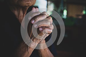 Praying hands of  Buddhism. Elderly woman god for  religion, belief, Holding hand in pray and thank buddha