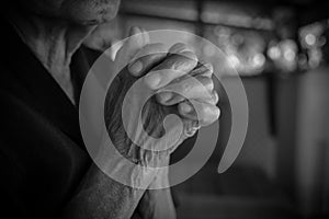 Praying hands of  Buddhism. Elderly woman god for  religion, belief, Holding hand in pray and thank buddha