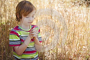 Praying little boy in the park