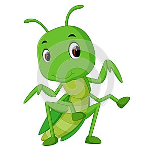 Praying mantis cartoon