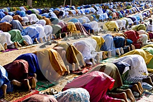 Praying Muslims photo