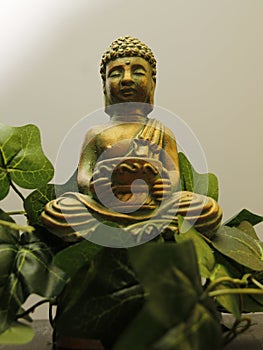 BUDDHA, meditation, peace, prayer, photo