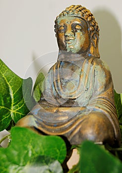 BUDDHA, meditation, peace, prayer, photo