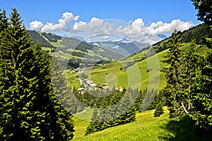 Pre-alpine landscape with pastures and forests in summer