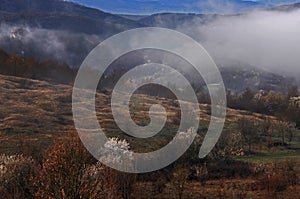 Pre-Balkan misty landscape