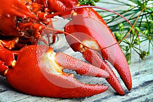 Pre-boiled crayfish
