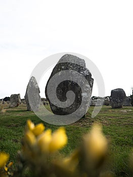 Pre celtic Carnac standing granite stones menhir megalith monolith rock alignment row Brittany France Europe