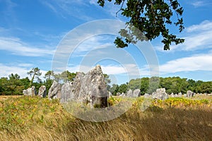 Pre celtic standing granite stones or menhirs in Carnac