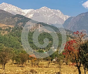 Pre Christmas autumn Colors and snow peaks of Indian Himalayas